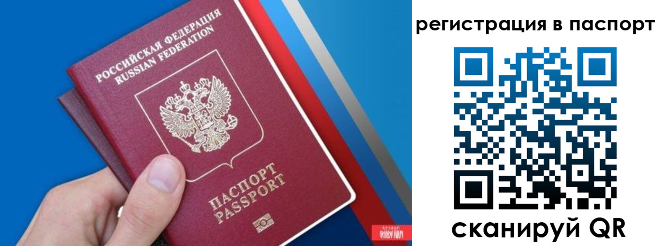 прописка для школы в Кинешме